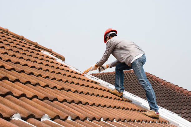 Best Solar Panel Roofing Installation  in Woodward, OK